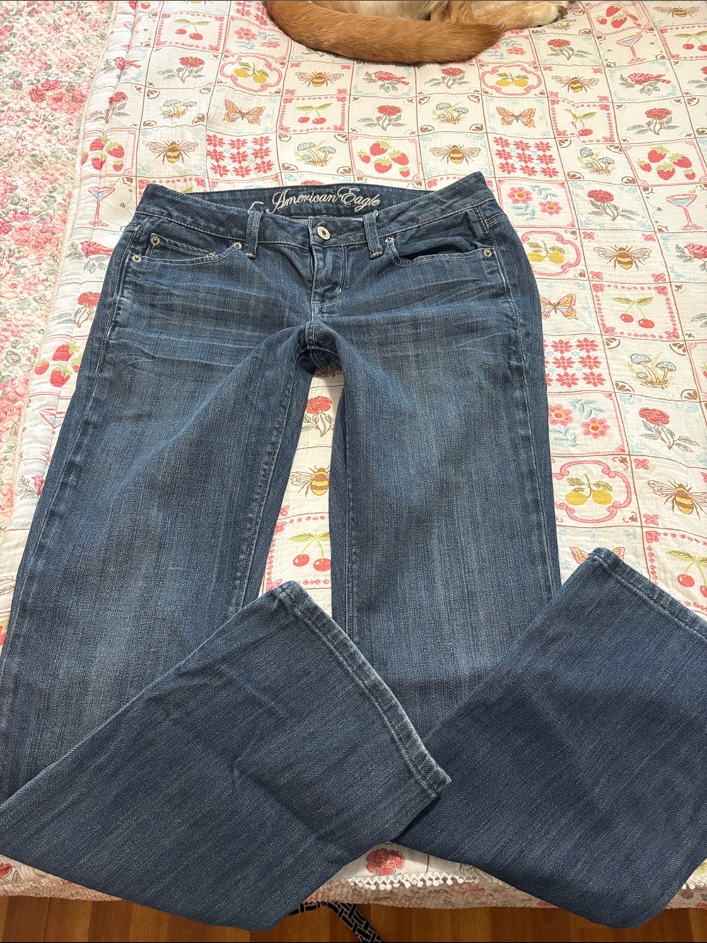 Early 2000s low rise American Eagle Outfitters Bootcut Jeans size 4 short